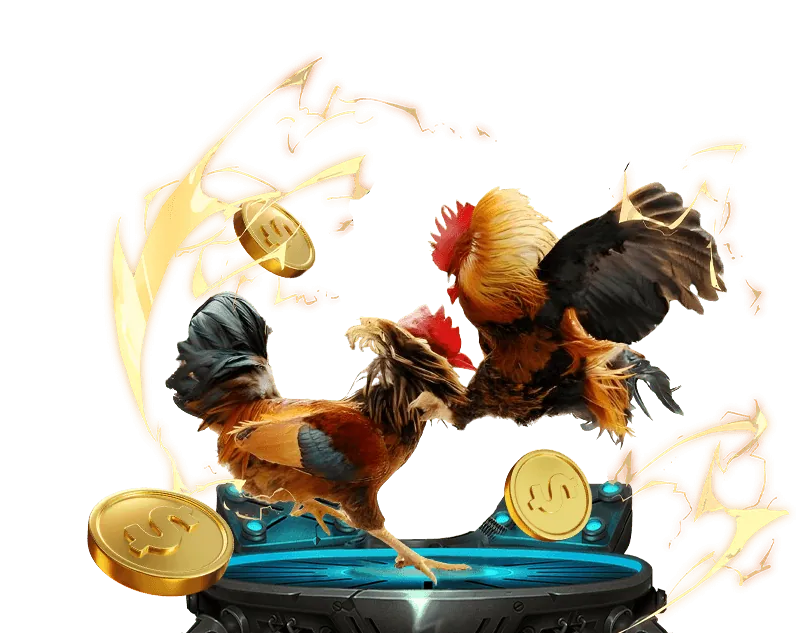 Đá gà cựa dao Philippines